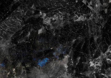 Labrador Gołowiński